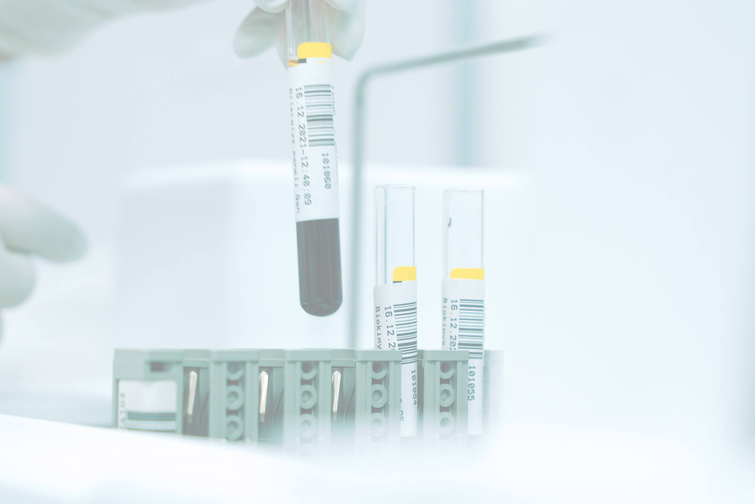 Chemical Engineering https://hilockx.com/wp-content/uploads/2025/11/Chemical-Engineering.jpg